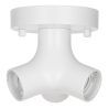 Bailey | Decken-/Wandleuchte | LED austauschbar | 60W Ohne Dimmfunktion