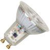Bailey | LED Spot | GU10  | 5.5W Dimmbar