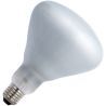 SPL | Große Fassung E27 | R-Schliff/Reflektorlampe | 125mm | 105W SPL | Große Fassung E27 | R-Schliff/Reflektorlampe | 125mm | 105W