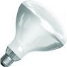 SPL | Infrarotlampe R-Kolben/Reflektorlampe | E27 | 250W SPL | Infrarotlampe R-Kolben/Reflektorlampe | E27 | 250W