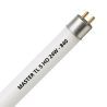 MASTER TL5 HO 24W - 840 Cool White | 55cm