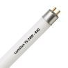 Lumilux T5 FQ HO 24W - 840 Kaltweiß | 55cm Lumilux T5 FQ HO 24W - 840 Kaltweiß | 55cm
