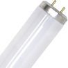 SPL | Leuchtstoffröhre | G13-Fassung | T12 | 20W | Schwarzlicht UV-Insektenlampe | 59cm
