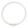 Lumilux T5 kreisförmig FC 55W - 840 Cool White | 30cm Lumilux T5 kreisförmig FC 55W - 840 Cool White | 30cm