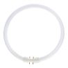 MASTER TL5C kreisförmig 32W - 840 Cool White | 30cm