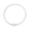 MASTER | Tube fluorescent rond | TL5C Circulair | 55W | 4 broches | Ø300mm | 840 Blanc froid MASTER | Tube fluorescent rond | TL5C Circulair | 55W | 4 broches | Ø300mm | 840 Blanc froid