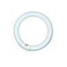 T9 Ringröhre | 32W | G10Q | 830 Warmweiß T9 Ringröhre | 32W | G10Q | 830 Warmweiß