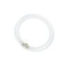 T9 Ringröhre | 40W | G10Q | 840 Kaltweiß T9 Ringröhre | 40W | G10Q | 840 Kaltweiß