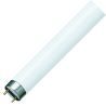 PHILIPS | TL Lampe G13 | 18W PHILIPS | TL Lampe G13 | 18W