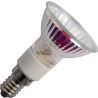 Halogen Hi-Spot | E14 Dimmbar | 40W 50mm