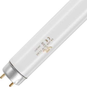 SPL | UV-Lampe G13 | 10W