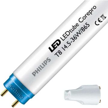 Philips | LED Röhrenlampe | G13  | 14.5W | 120cm | 6500K 