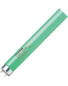 Sylvania | TL Lampe | T8 G13| 18W 590mm Grün