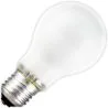 Glühbirne | Große Fassung E27 | Stehlampe | Matt | 60mm | 25W | 24/28V