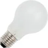 Glühbirne | Große Fassung E27 | Stehlampe | Matt | 60mm | 75W | 24V
