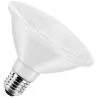 Bailey | LED-Lampe | Große Fassung E27 | Spot | 95mm | 13W