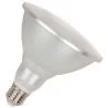 Bailey | LED-Lampe | Große Fassung E27 | Spot | 122mm | 12W | 24V