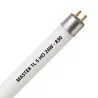 MASTER TL5 HO 24W - 830 Warmweiß | 55cm