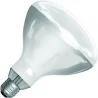 SPL | IR-Lampe R-Lampe/Reflektorlampe | Große Fassung E27 | 250W
