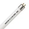 MASTER TL5 HO 49W - 830 Warmweiß | 145cm