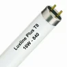 Luxline Plus T8 16W - 840 Kaltweiß | 72cm