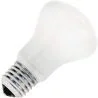 Glühlampe | Große Fassung E27 | Superlux Lampe | Opal | 50mm | 25W