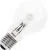 Top 10 Halogenlampen